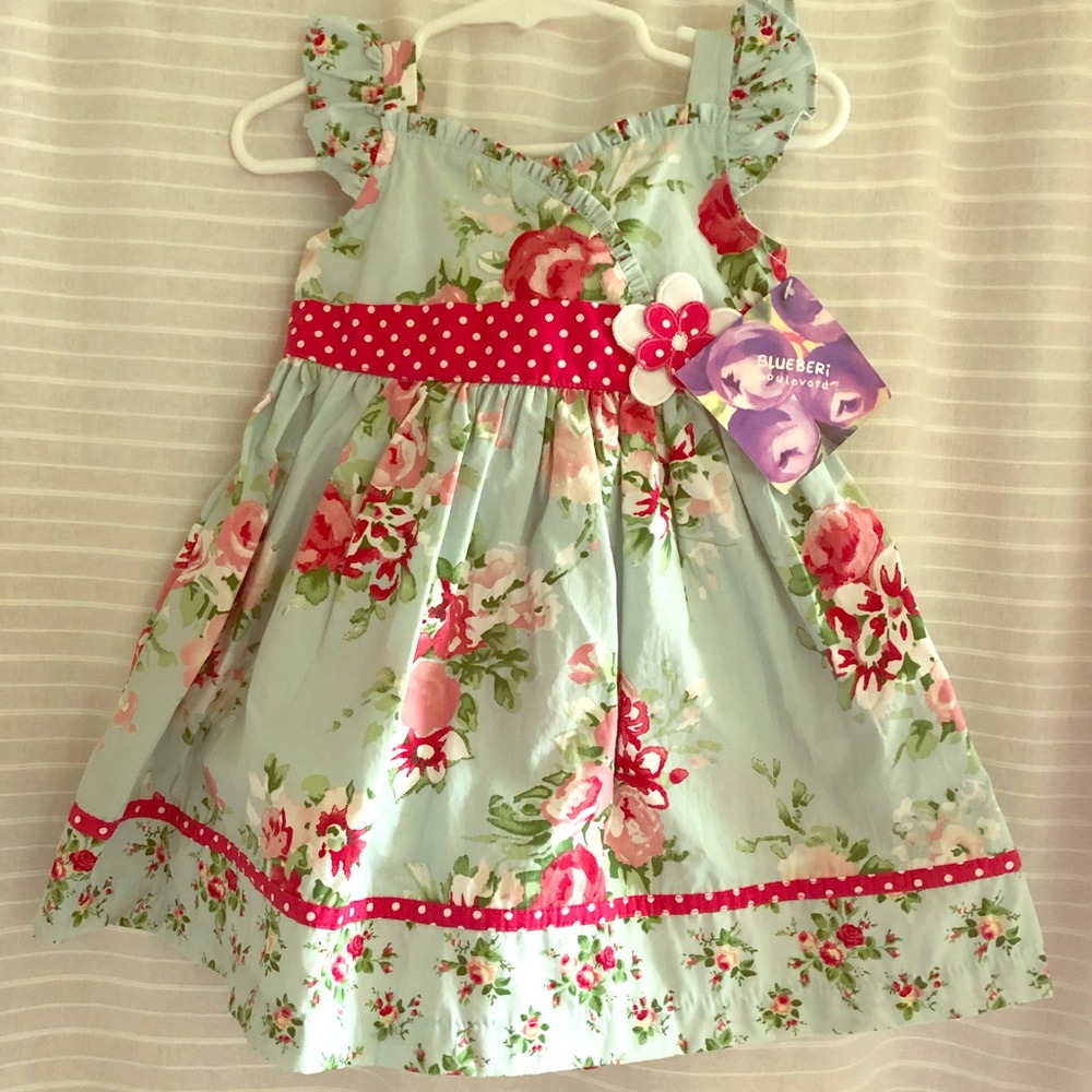 BlueBeri Boulevard Floral Dress